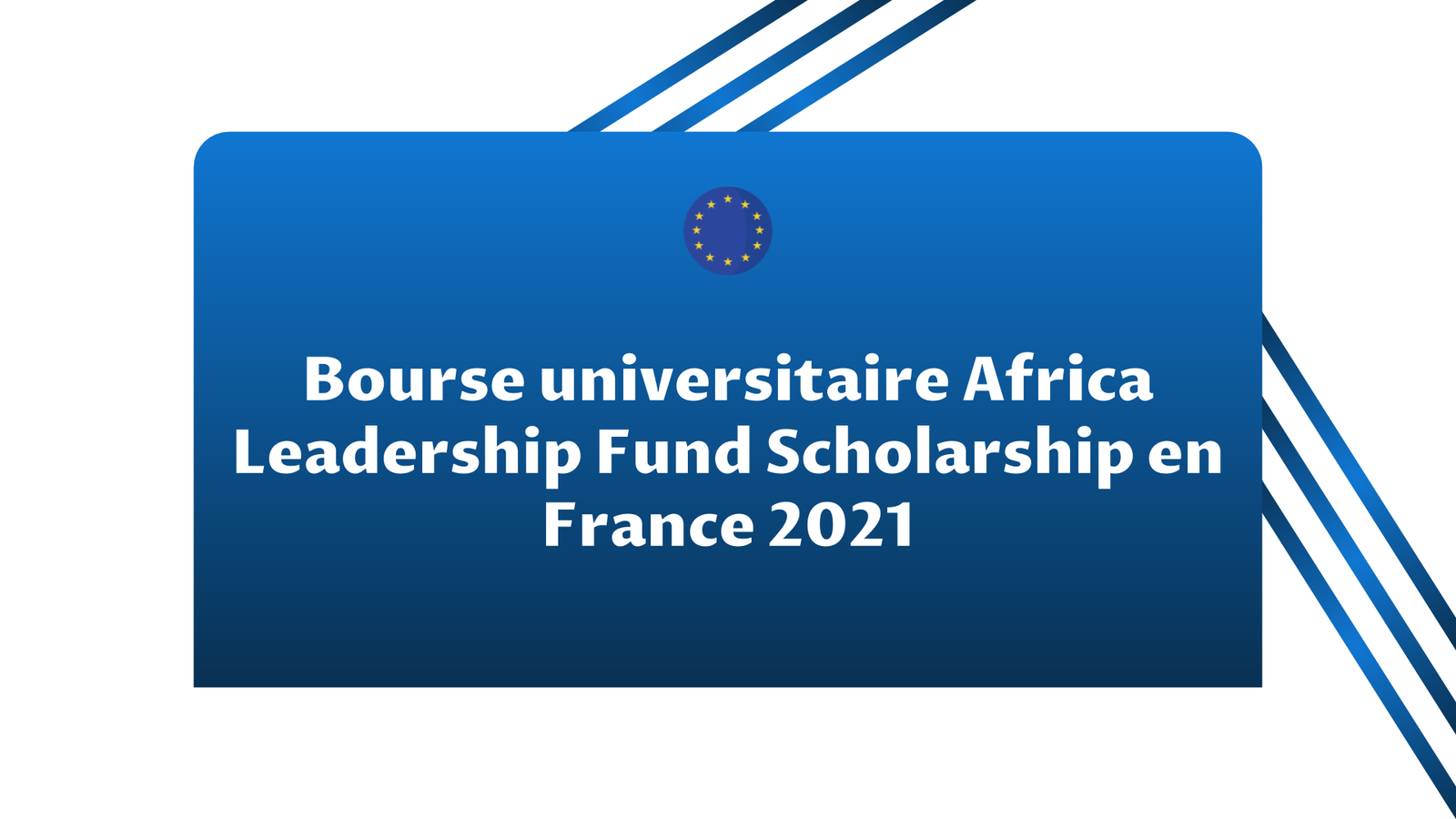 Bourse Africa Leadership Fund Scholarship en France 2024